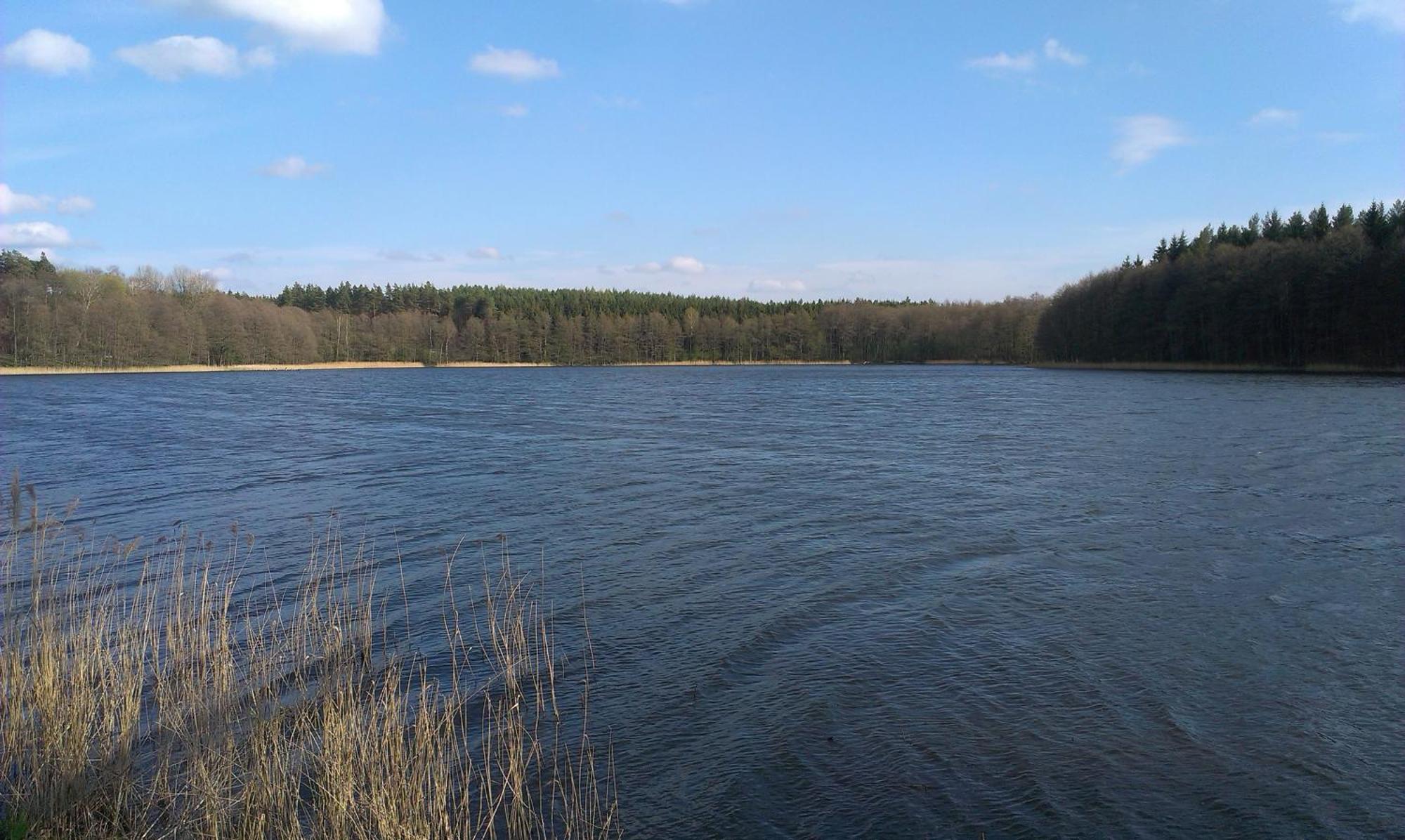 Agro-Tur Domki W Szuwarach Kuty Zimmer foto