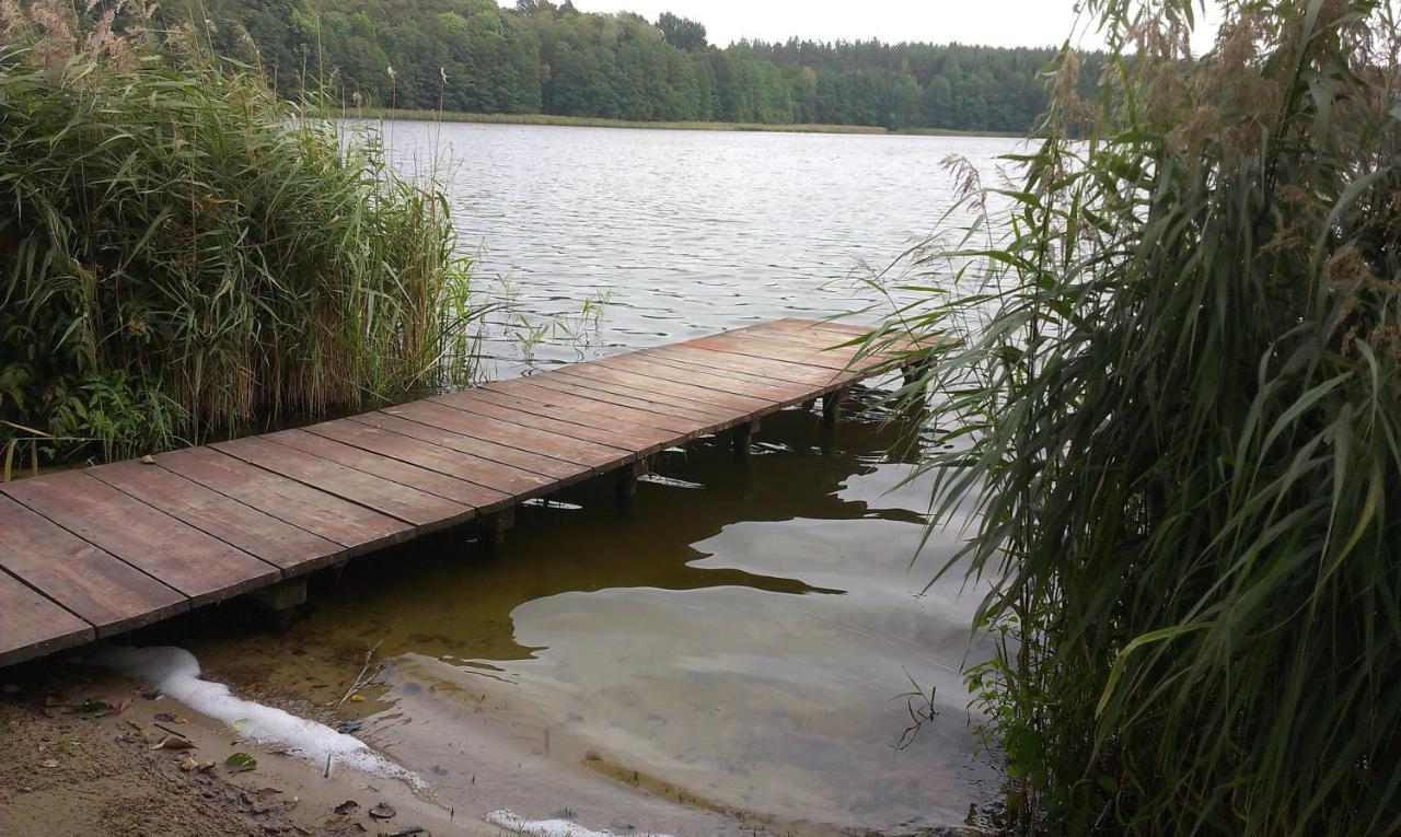 Agro-Tur Domki W Szuwarach Kuty Zimmer foto